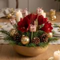 Tapón de flores paquete de regalo de Navidad decoración 2,5 cm 15 piezas | Floristik24.es