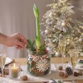 Jarrón de cristal decorativo farol de cristal transparente Ø18cm H20cm | Floristik24.es