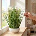 Hierba decorativa con flores de Cosmea en un cuenco H45cm | Floristik24.es
