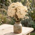 Milenrama artificial crema Achillea flores artificiales 30cm 6 uds | Floristik24.es