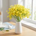 Gypsophila paniculate hierba de yeso flores amarillas L46cm 4 piezas | Floristik24.es