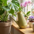 Regadera de interior, verde oliva, estilo retro, 24,5 cm, 1,8 L, regadera de diseño, plástico, riego de plantas | Floristik24.es