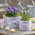 Cajón para plantas con tirador madera blanca violeta 12/15cm juego de 2 | Floristik24.es