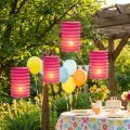 Lampion Tren Linterna Rosa Ø10cm H13cm 8pcs | Floristik24.es