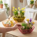 Cesta de alambre con asa de madera. Diseño práctico. Ideal para la decoración primaveral, el hogar y la oficina. 17 cm, 6 unidades. | Floristik24.es
