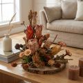 Conos de protea exótica seca Bellgum 24–48 cm 580 g - Decoración de flores artificiales Sudáfrica | Floristik24.es
