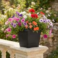 Maceta “Nora” 23cm x 23cm H18,5cm antracita 1 pieza | Floristik24.es