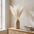 Flores secas, hierba plateada. Elegante decoración natural para el hogar y la oficina. 70 cm, 10 unidades. | Floristik24.es