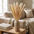 Ramas decorativas de flores secas de hierba de la pampa para decoración del hogar y la mesa. | Floristik24.es
