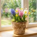 Jardinera redonda, decoración natural, corteza, maceta de abedul, Ø12cm H10cm, 5 piezas | Floristik24.es