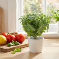 Verde artificial menta 25cm 12uds | Floristik24.es