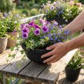 Macetero Biolit negro Ø35cm, macetero ecológico | Floristik24.es