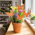 Tapón de flores de madera mariposa de colores 9cm/29cm 12pcs | Floristik24.es