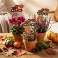 Decoración de flores con forma de amanita muscaria, erizo, otoño, 8 cm, 12 unidades | Floristik24.es