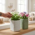 Jardinera cerámica blanco verde malla relieve 12x12cm H17.5cm 2pcs | Floristik24.es