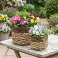 Cesta de mimbre Cuenco para plantas de mimbre natural Natural L30/22cm H20/17cm Juego de 2 | Floristik24.es