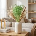 Flores secas, umbelíferas, verdes, 70-80cm, 150g | Floristik24.es