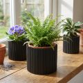 Maceta de papel negra Ø19cm H14cm 3 uds | Floristik24.es