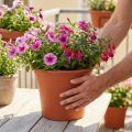 Maceta “Irys” plástico terracota Ø29cm H24cm 1ud | Floristik24.es