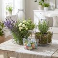 Cesta de alambre con asa, cestas nostálgicas, cesta de metal shabby chic, aspecto envejecido plateado, blanco L35/30/25cm H46.5/35/25cm juego de 3 | Floristik24.es