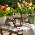 Regadera decorativa de vidrio farol metal rojo Ø14cm H13cm | Floristik24.es