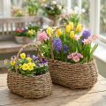 Cesta para plantas con asa, cesta para flores, L23/35cm, juego de 2 | Floristik24.es
