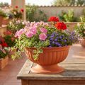 Cuenco con base de terracota Ø35cm | Floristik24.es