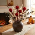 Plumosum 1 Rojo 25uds | Floristik24.es