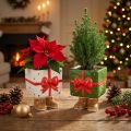 Maceta de cerámica para decoración navideña, diseño de regalo con bonitos pies. | Floristik24.es