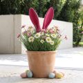 Orejas decorativas de conejito rosa para Pascua bastón flocado Al. 56 cm | Floristik24.es