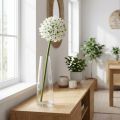 Flor decorativa Allium, puerro bola artificial, cebolla ornamental blanca Ø20cm L72cm | Floristik24.es