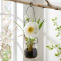 Amapola en vidrio para colgar. Blanco. A22cm | Floristik24.es