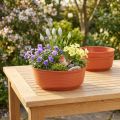 Cuenco Z de plástico Ø22cm 10 uds | Floristik24.es
