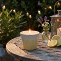Vela de citronela en bote de cerámica crema amarilla Ø8,5cm | Floristik24.es