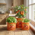 Juego de 3 macetas de cerámica para tomates, decorativas para cocina y decoración retro, 14 cm | Floristik24.es
