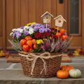 Casita decorativa para pájaros, abedul, 5 cm, estacas para flores, 4 piezas | Floristik24.es