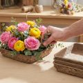 Oasis Biolit Basic Floral Foam 13x13x2cm Set de 12 piezas Decoración floral DIY | Floristik24.es