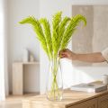 Flores secas de amaranto teñidas para decoración del hogar y acentos únicos 100 cm, 5 pzs | Floristik24.es