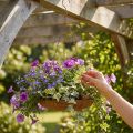 Bol colgante decorativo, decoración de jardín, aspecto oxidado, Ø31cm, L62cm | Floristik24.es