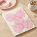 Hojas de esqueleto, hojas de sauce decorativas rosas de 5 a 9 cm, 200 piezas - Ideal para tarjetas de felicitación y manualidades | Floristik24.es