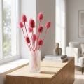 Decoración seca de cardo silvestre, cardos rosados, 53 cm, 10 cabezas | Floristik24.es