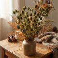 Adorno seco de cardo fresa, verde oliva, Ø1–2cm, L55cm, 100g | Floristik24.es