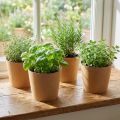 Jardinera, maceta, jardinera de papel natural Ø15cm H13cm 4pcs | Floristik24.es