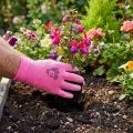 Guantes de jardín Kixx talla 8 rosa, rosa | Floristik24.es