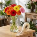 Manguera soporte gerbera 17mm, 200m | Floristik24.es