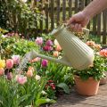 Regadera de 9L en color verde oliva con roseta extraíble, práctica para el cuidado del jardín y las flores, robusta, 42 cm. | Floristik24.es