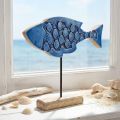 Pez de madera decorativo marítimo sobre soporte azul 25cm × 24,5cm | Floristik24.es