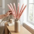 Flores secas de hierba de la pampa rosa, decoración natural, 65-75 cm, 6 unidades | Floristik24.es