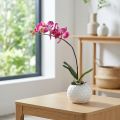 Orquídeas artificiales en maceta Phalaenopsis flores artificiales orquídeas rosa 34cm | Floristik24.es