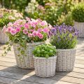 Cesta grande para plantar con revestimiento de aluminio, blanco-gris, Ø43/34/28cm, juego de 3 | Floristik24.es
